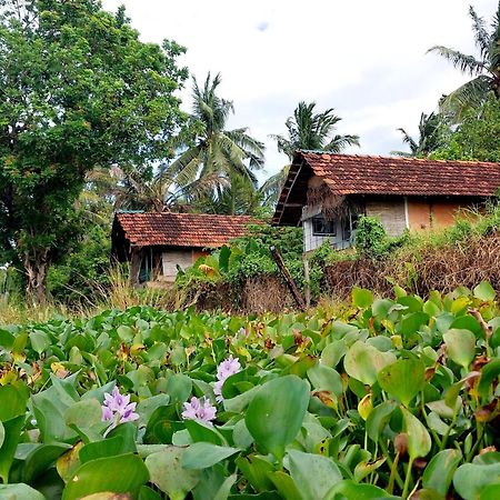 Lake Cabin Polonnaruwa Exterior foto