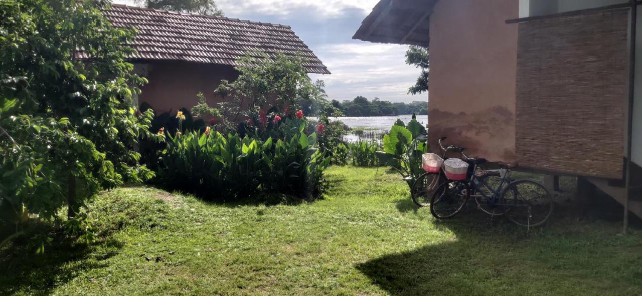 Lake Cabin Polonnaruwa Exterior foto