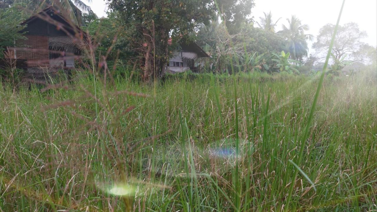 Lake Cabin Polonnaruwa Exterior foto