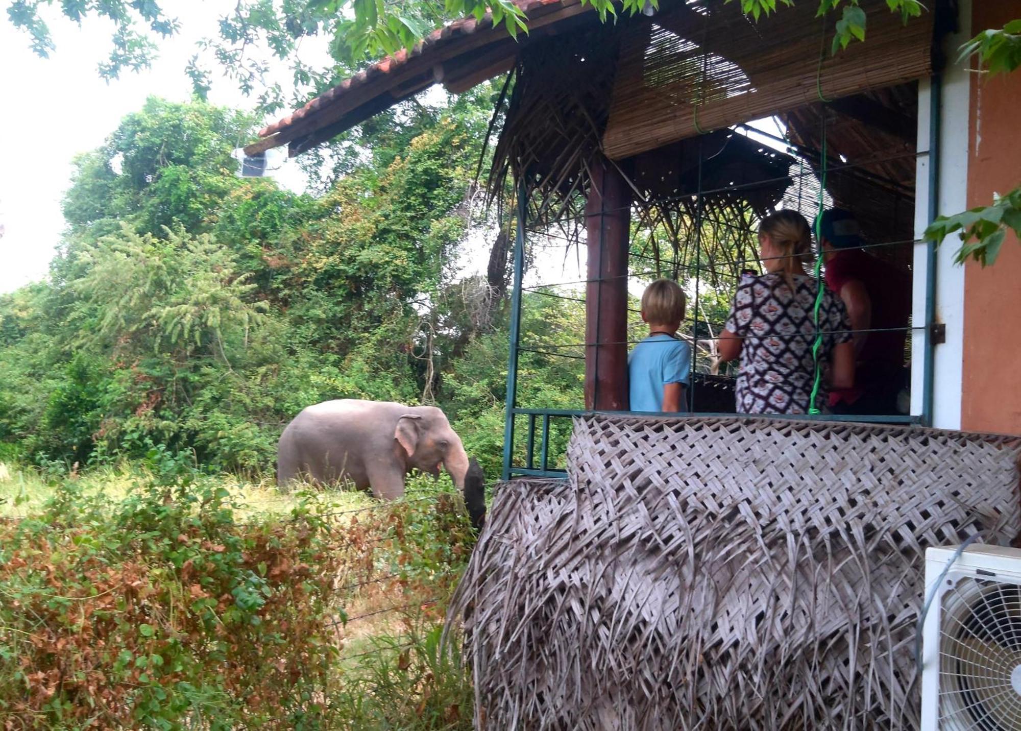 Lake Cabin Polonnaruwa Exterior foto