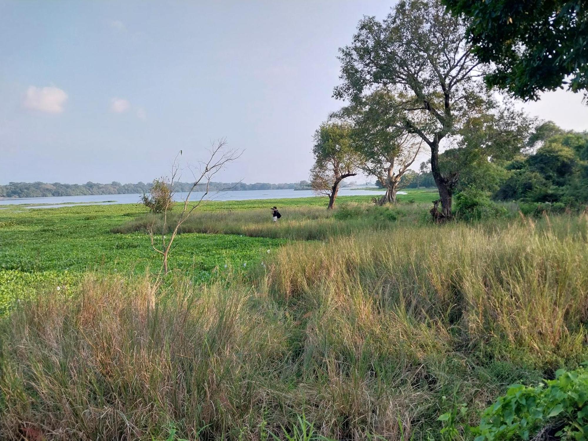 Lake Cabin Polonnaruwa Exterior foto