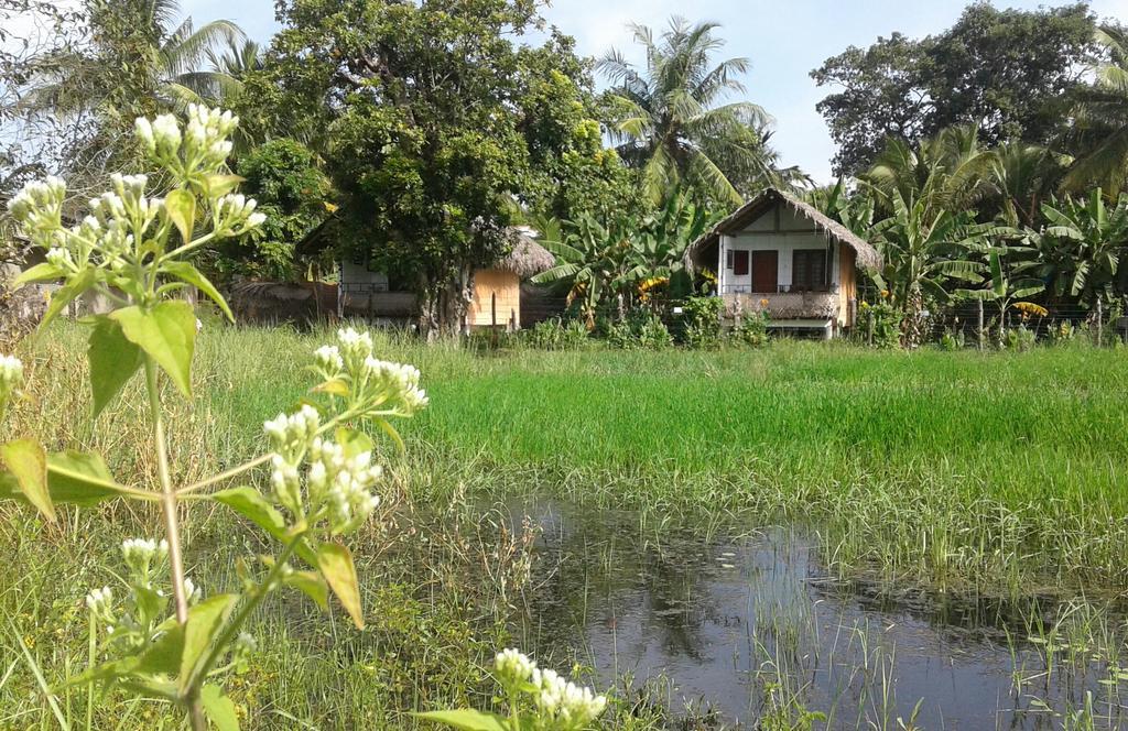 Lake Cabin Polonnaruwa Exterior foto