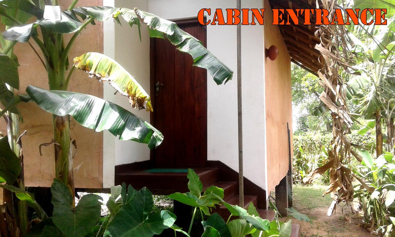 Lake Cabin Polonnaruwa Exterior foto