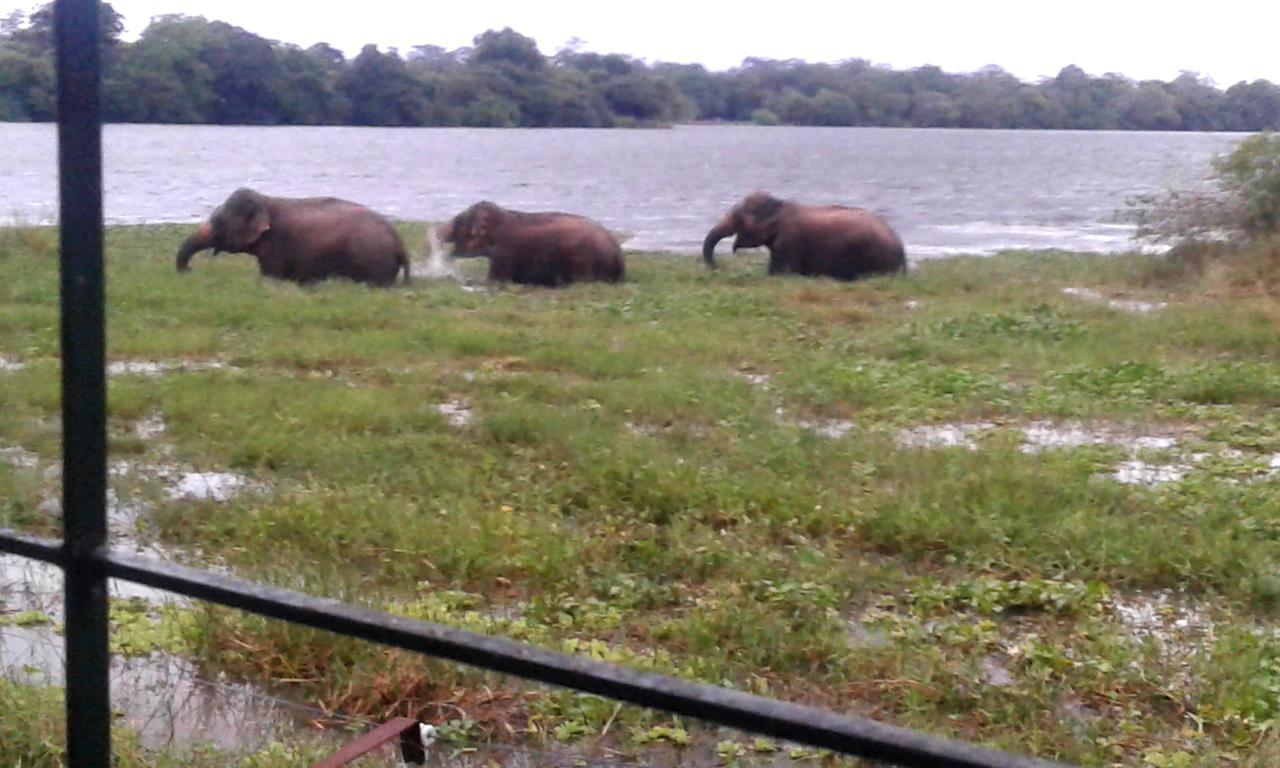 Lake Cabin Polonnaruwa Exterior foto